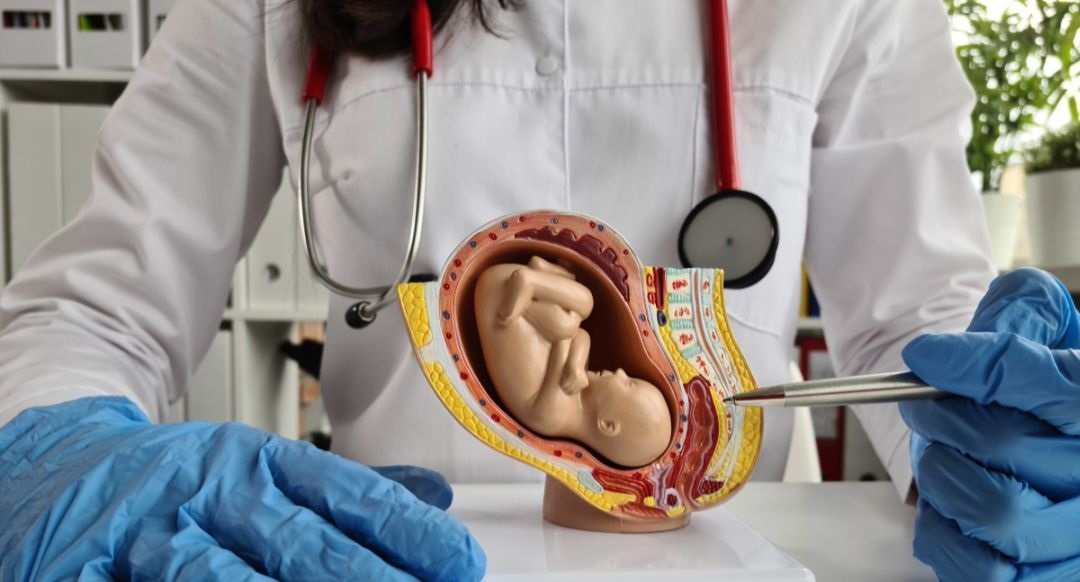 3. Best Obstetrician in Beeramguda