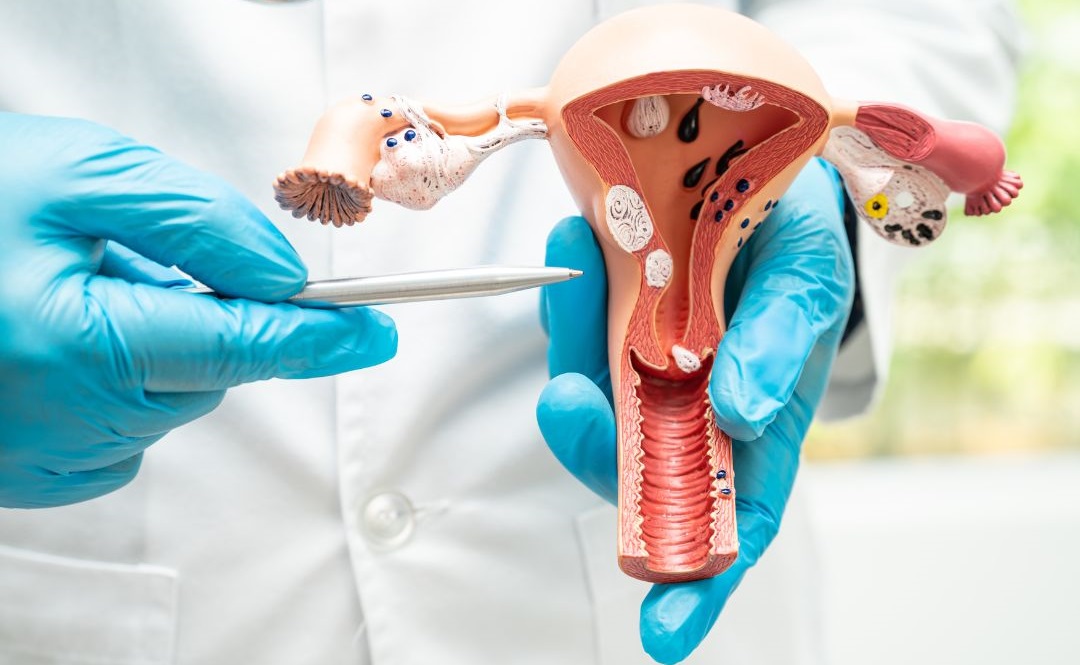 Cervical cancer vaccination in Beeramguda